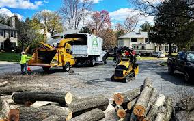 Best Fruit Tree Pruning  in Allendale, CA