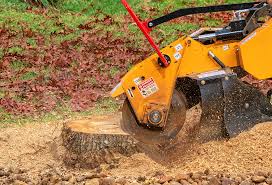 Best Stump Grinding and Removal  in Allendale, CA